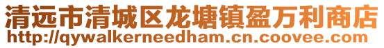 清遠市清城區龍塘鎮盈萬利商店