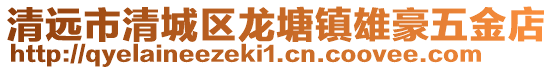 清遠(yuǎn)市清城區(qū)龍?zhí)伶?zhèn)雄豪五金店