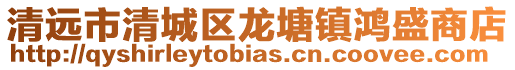 清遠市清城區龍塘鎮鴻盛商店