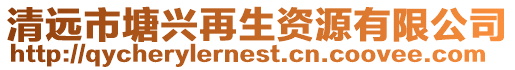 清遠市塘興再生資源有限公司