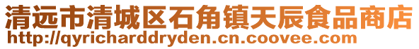 清遠市清城區石角鎮天辰食品商店