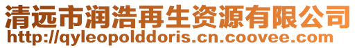 清遠市潤浩再生資源有限公司