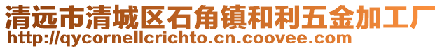 清遠市清城區石角鎮和利五金加工廠