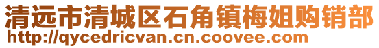 清遠市清城區石角鎮梅姐購銷部