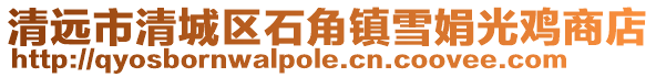 清遠市清城區石角鎮雪娟光雞商店