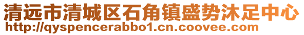 清遠市清城區石角鎮盛勢沐足中心