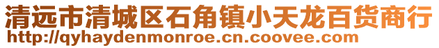 清遠市清城區石角鎮小天龍百貨商行