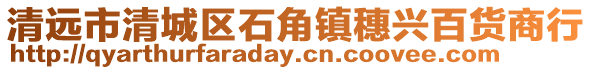 清遠市清城區石角鎮穗興百貨商行