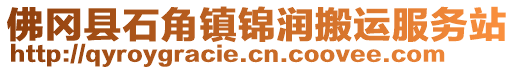 佛岡縣石角鎮(zhèn)錦潤搬運(yùn)服務(wù)站