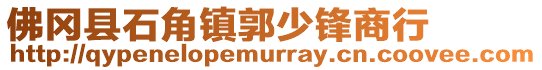 佛岡縣石角鎮郭少鋒商行