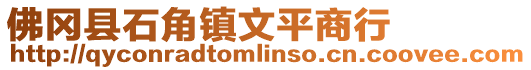 佛岡縣石角鎮文平商行