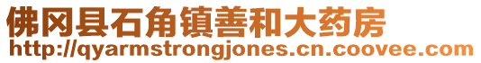 佛岡縣石角鎮(zhèn)善和大藥房