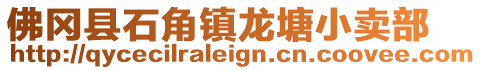 佛岡縣石角鎮龍塘小賣部