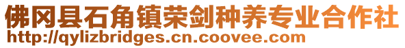 佛岡縣石角鎮榮劍種養專業合作社
