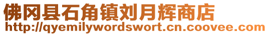 佛岡縣石角鎮(zhèn)劉月輝商店