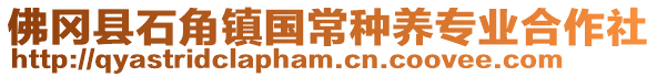 佛岡縣石角鎮國常種養專業合作社