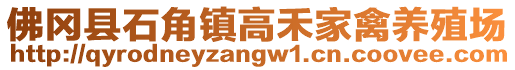 佛岡縣石角鎮(zhèn)高禾家禽養(yǎng)殖場(chǎng)