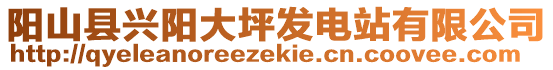 陽山縣興陽大坪發(fā)電站有限公司