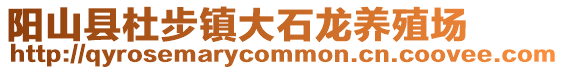 陽山縣杜步鎮大石龍養殖場