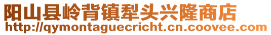 陽山縣嶺背鎮犁頭興隆商店