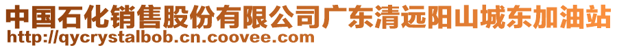中國石化銷售股份有限公司廣東清遠(yuǎn)陽山城東加油站