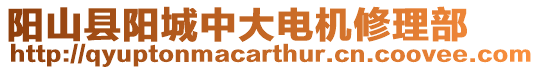陽山縣陽城中大電機修理部