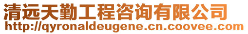 清遠(yuǎn)天勤工程咨詢有限公司