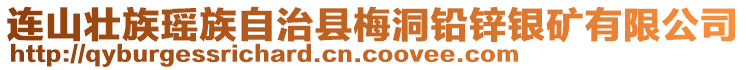 連山壯族瑤族自治縣梅洞鉛鋅銀礦有限公司