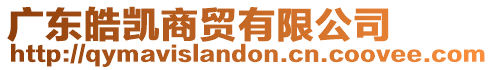 廣東皓凱商貿(mào)有限公司