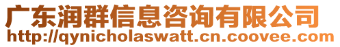 广东润群信息咨询有限公司