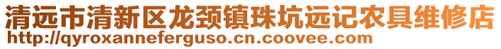 清遠(yuǎn)市清新區(qū)龍頸鎮(zhèn)珠坑遠(yuǎn)記農(nóng)具維修店