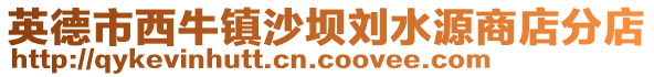 英德市西牛鎮(zhèn)沙壩劉水源商店分店