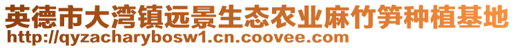 英德市大灣鎮(zhèn)遠(yuǎn)景生態(tài)農(nóng)業(yè)麻竹筍種植基地