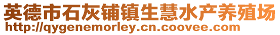 英德市石灰鋪鎮生慧水產養殖場