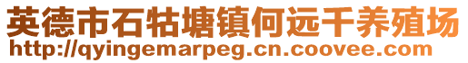 英德市石牯塘鎮(zhèn)何遠(yuǎn)千養(yǎng)殖場(chǎng)
