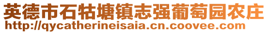 英德市石牯塘鎮(zhèn)志強葡萄園農(nóng)莊