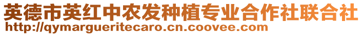 英德市英紅中農(nóng)發(fā)種植專(zhuān)業(yè)合作社聯(lián)合社