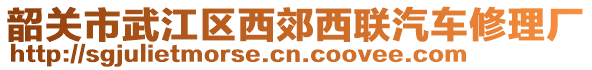 韶关市武江区西郊西联汽车修理厂