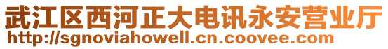 武江區(qū)西河正大電訊永安營業(yè)廳