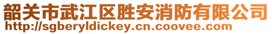 韶關(guān)市武江區(qū)勝安消防有限公司