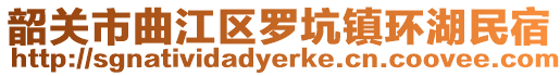 韶關市曲江區羅坑鎮環湖民宿