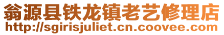 翁源縣鐵龍鎮老藝修理店