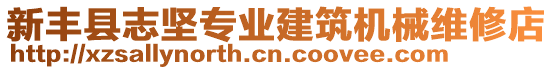 新豐縣志堅專業(yè)建筑機械維修店