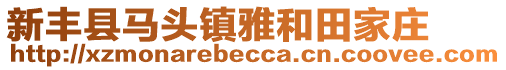 新豐縣馬頭鎮(zhèn)雅和田家莊