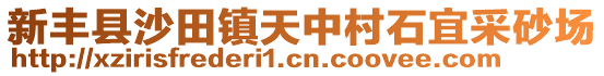 新豐縣沙田鎮(zhèn)天中村石宜采砂場(chǎng)