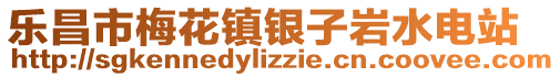 樂昌市梅花鎮(zhèn)銀子巖水電站