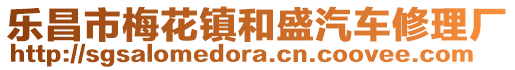 乐昌市梅花镇和盛汽车修理厂