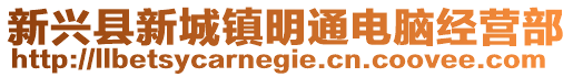 新興縣新城鎮(zhèn)明通電腦經(jīng)營(yíng)部