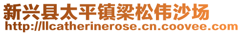 新兴县太平镇梁松伟沙场