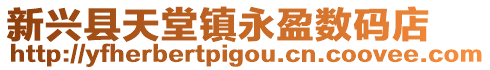 新興縣天堂鎮永盈數碼店